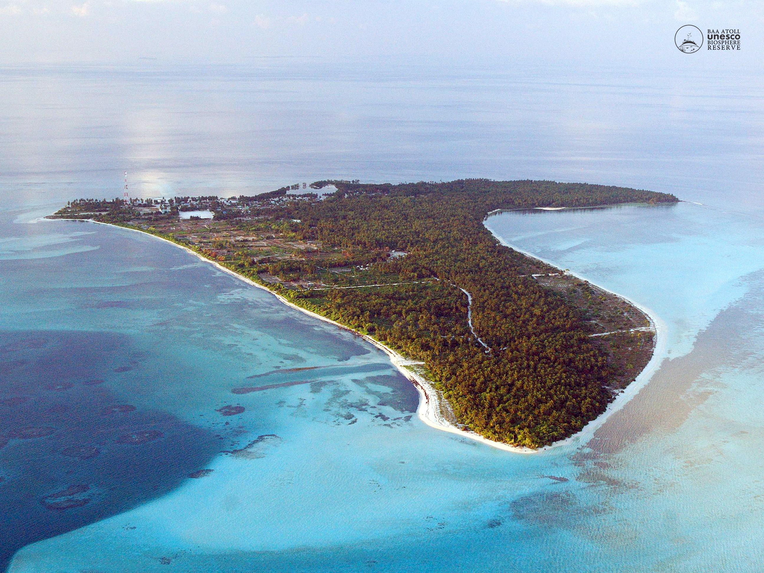 Goidhoo