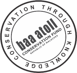 BACF